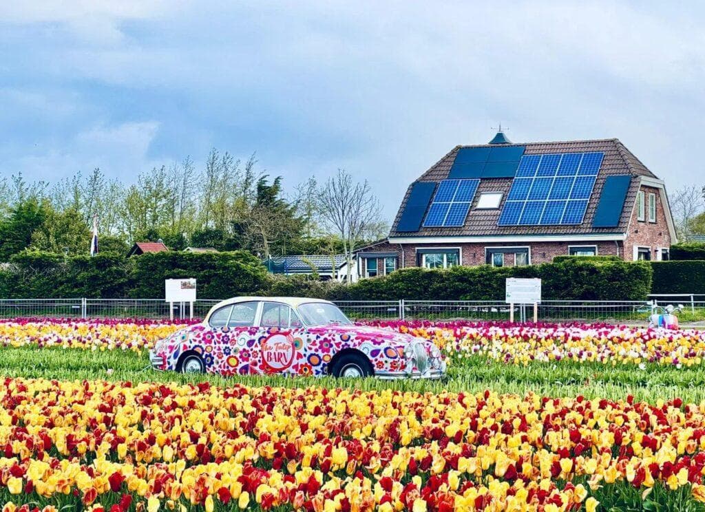 2025荷兰创业指南：精准布局潜力行业，全面解析荷兰公司注册详情
