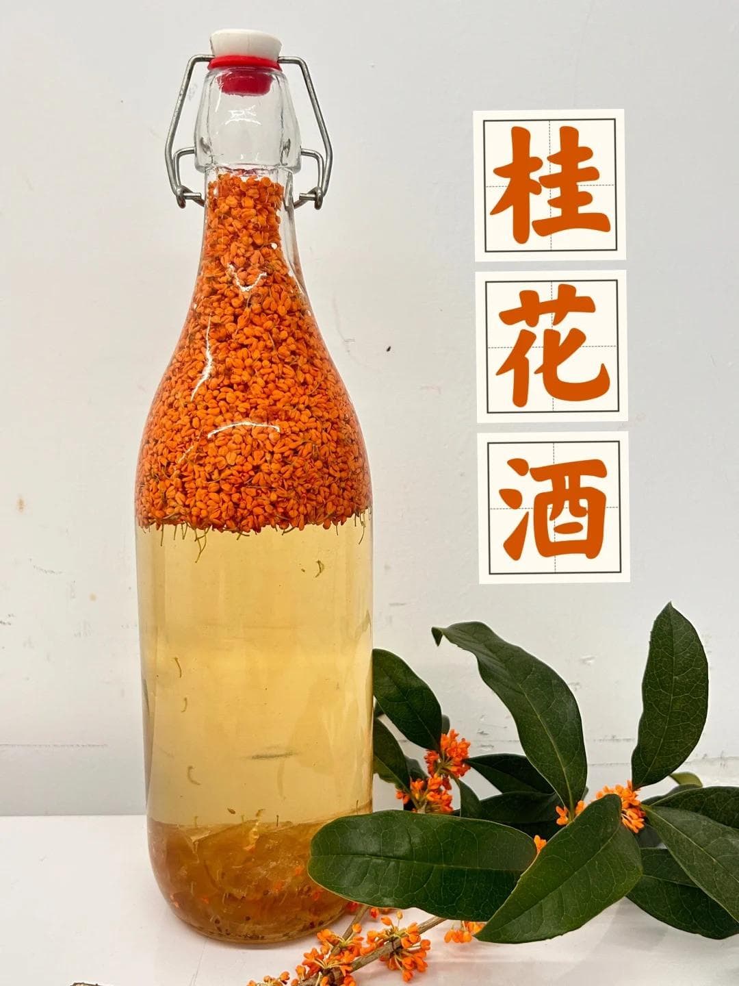 恰逢桂花飘香，正是桂花佳酿时，超简单的桂花酿造教程