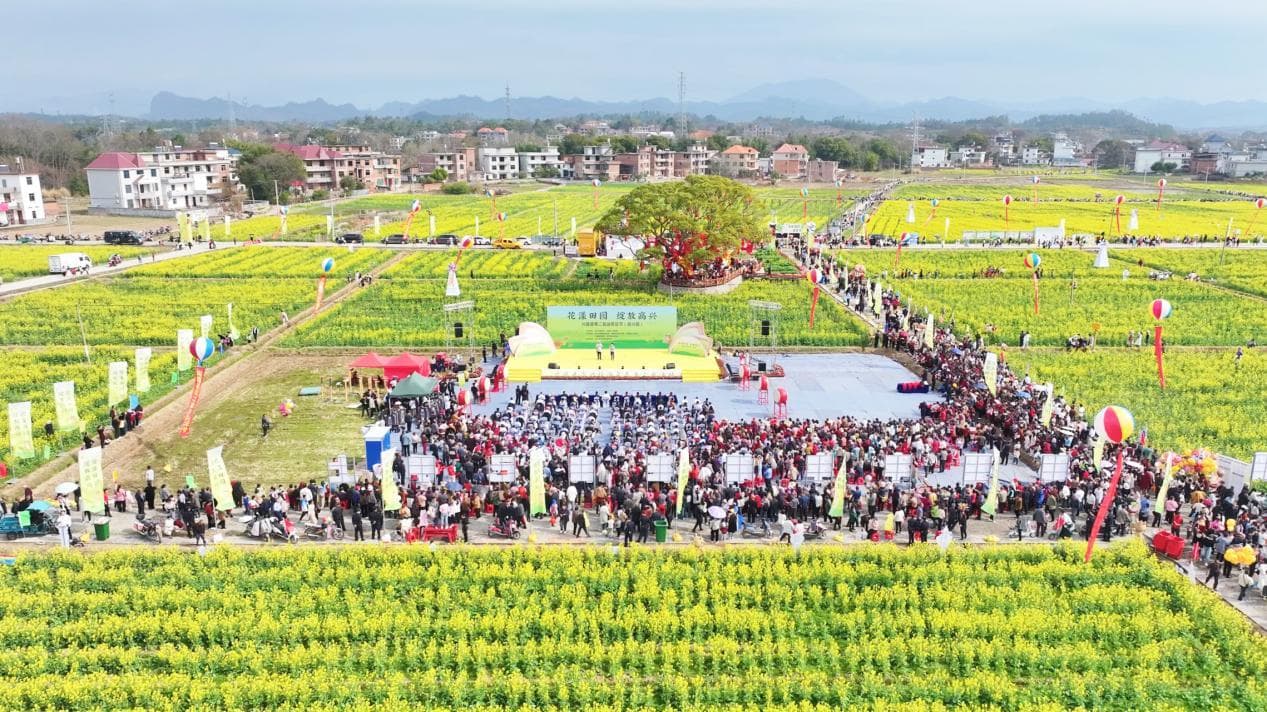 江西兴国解锁“美丽经济”：油菜花节以花为媒，探索农文旅融合新路