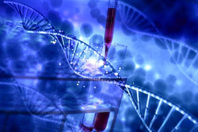 真菌分子诊断技术：从传统形态学鉴定到现代分子生物学方法