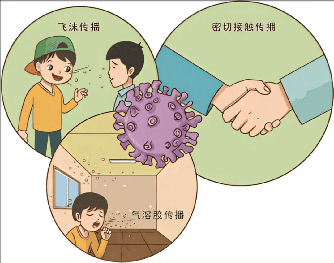 健康科普 | 警惕！流感高发季，甲流这个“小怪兽”又来啦！