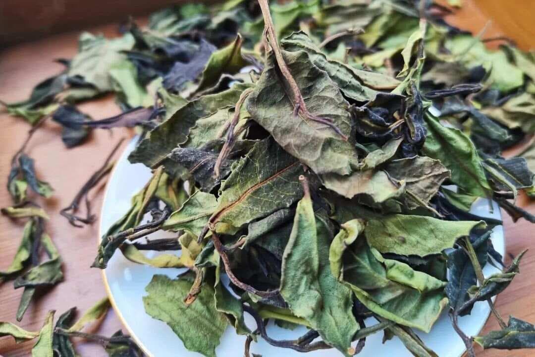 白茶是什么茶？白茶有什么功效？【白茶之谜：一抹来自自然的温柔馈赠，你了解多少？】