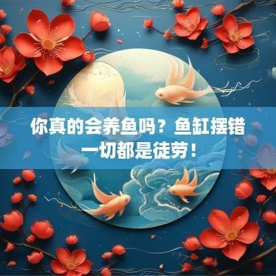你真的会养鱼吗？鱼缸摆错一切都是徒劳！