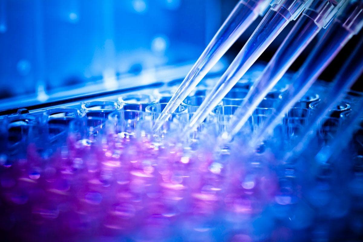 高通量筛选（High-Throughput Screening，HTS）数据分析