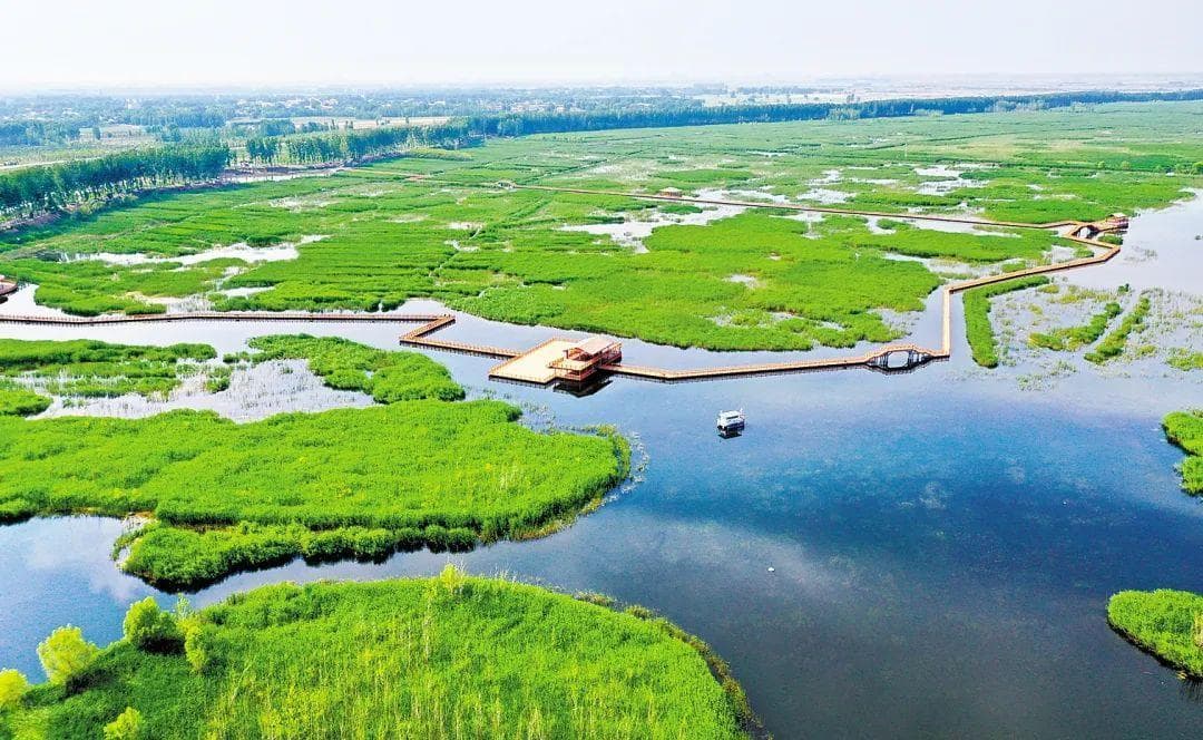白洋淀旅游攻略：特色美食与经典路线全解析