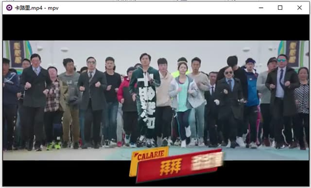 mpv播放器电脑版