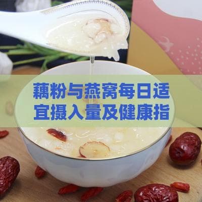 藕粉与燕窝每日适宜摄入量及健康指南解析