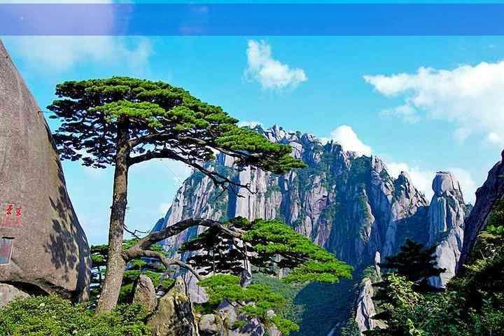 大理一日游全攻略：如何规划你的旅行预算及实用信息