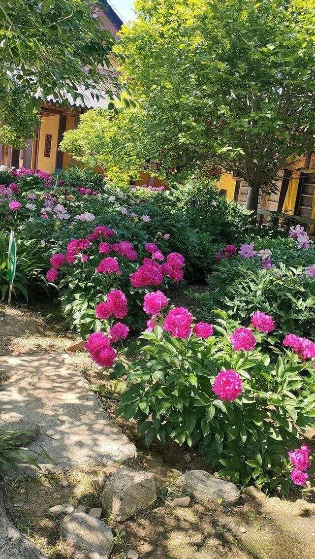 散文的语言怎样做到既凝练又有表现力