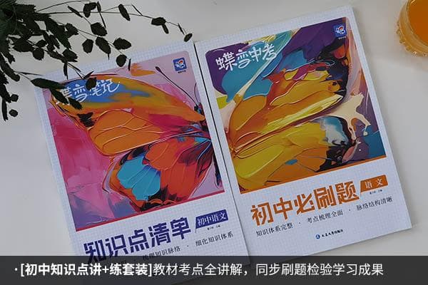 初中语文教辅书推荐及高效学习指南