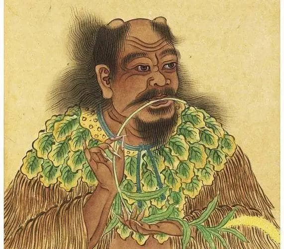 陆羽和《茶经》