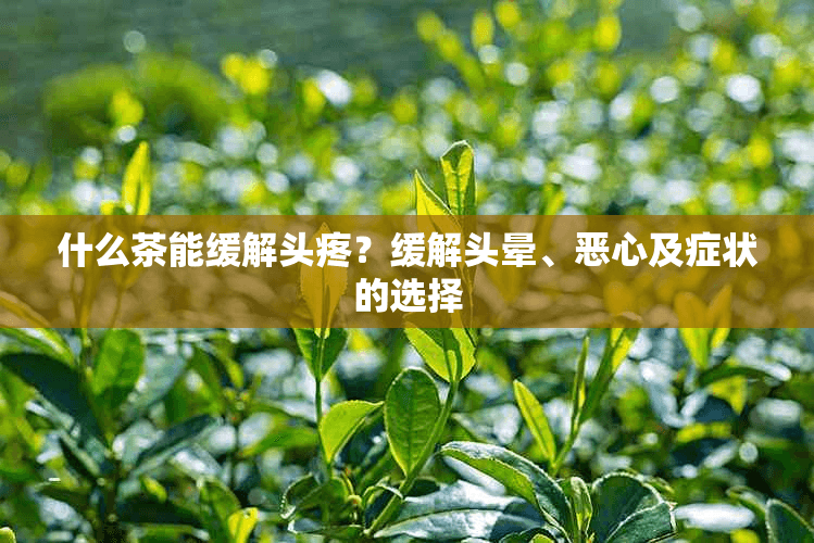 什么茶能缓解头疼？缓解头晕、恶心及症状的选择