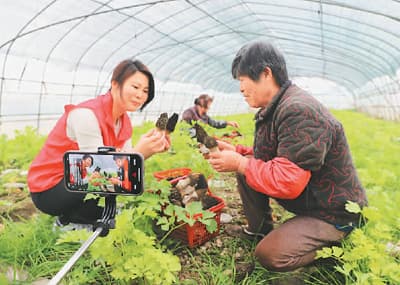 为农村电商发展再加把劲