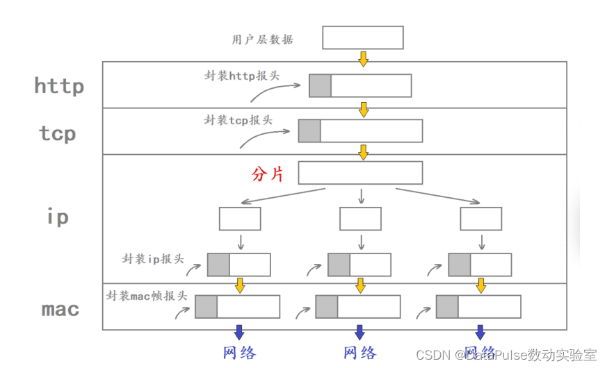 IP协议详解：从基本概念到数据包分片与重组