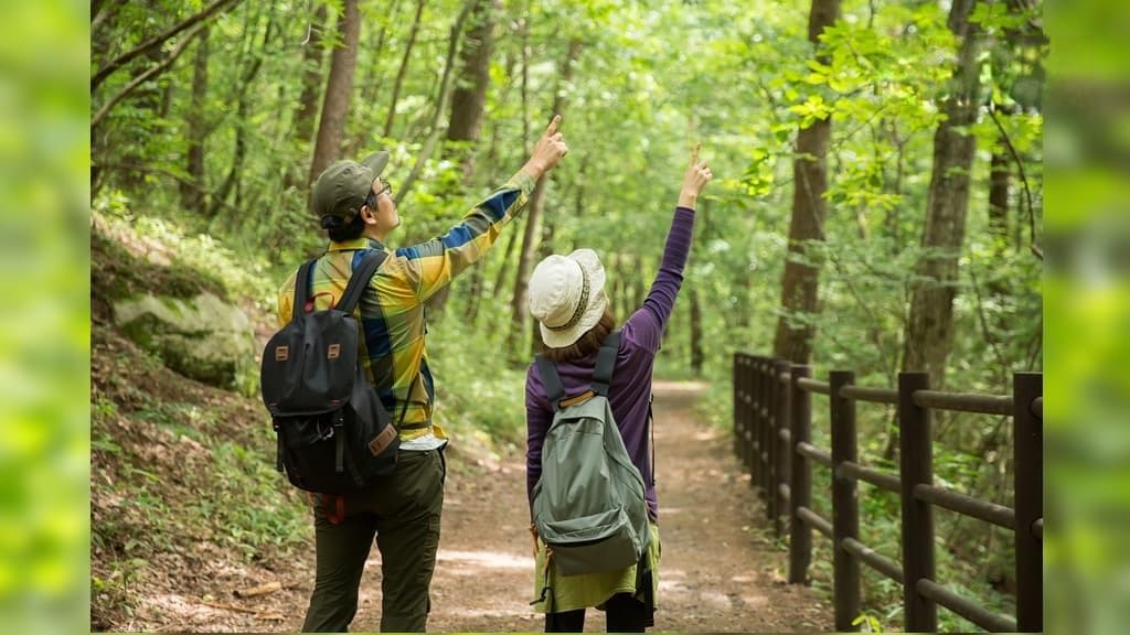 退化性关节炎能登山健行？医授「5原则」拥抱山林 2装备助肉脚变勇脚