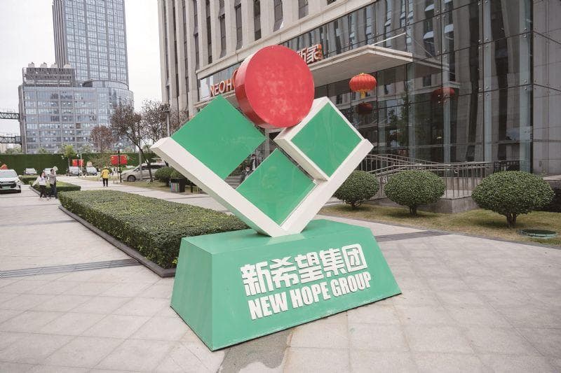 新希望扣非预盈5.4亿结束三连亏 加速市场扩张力争海外营收增10%