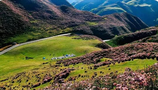 贵州六盘水旅游景点推荐：乌蒙大草原、水城古镇和梅花山旅游景区