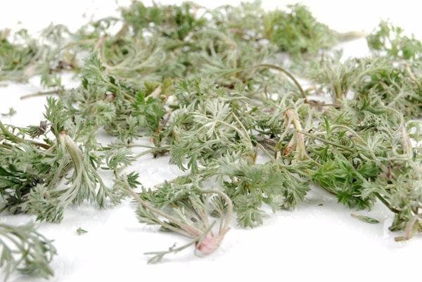 白蒿的功效与作用