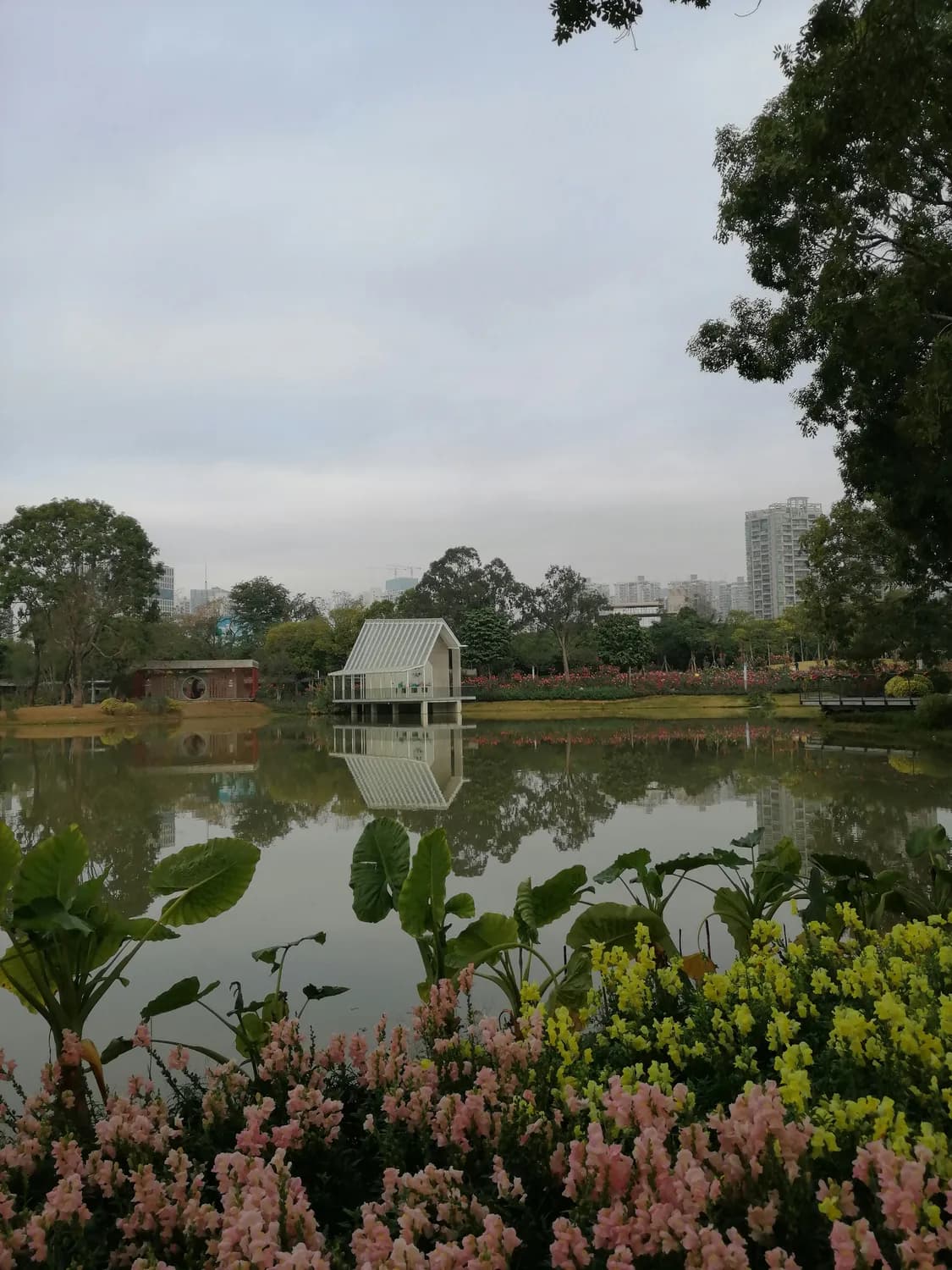 广州白云湖公园：3000亩人工湖畔的休闲胜地