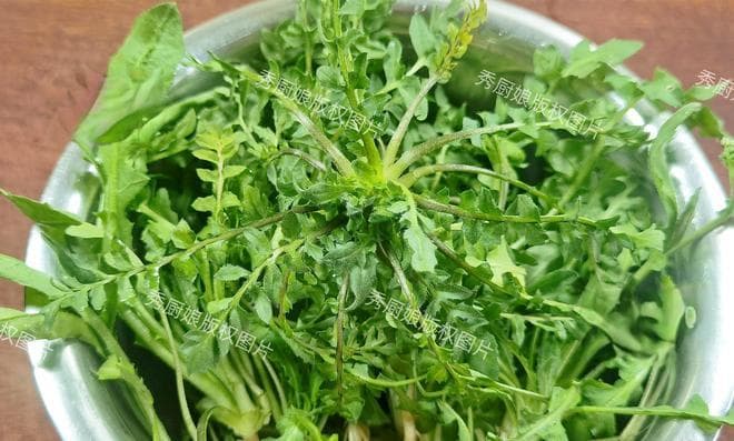 越吃眼睛越亮的5种菜，隔天吃一次，眼睛更舒服！老人孩子要多吃
