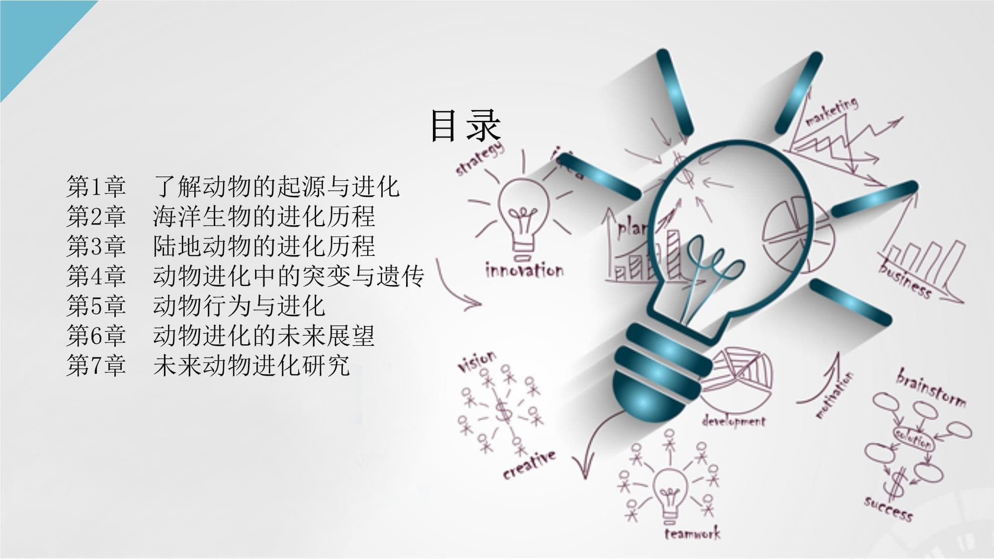 探讨动物的进化路径