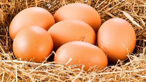从饮食到运动：全方位提升HDL-C水平的实用指南
