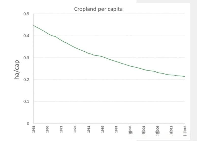 全球耕地和粮食状况一览：中国粮食产量达6.8亿吨，亩产超500公斤