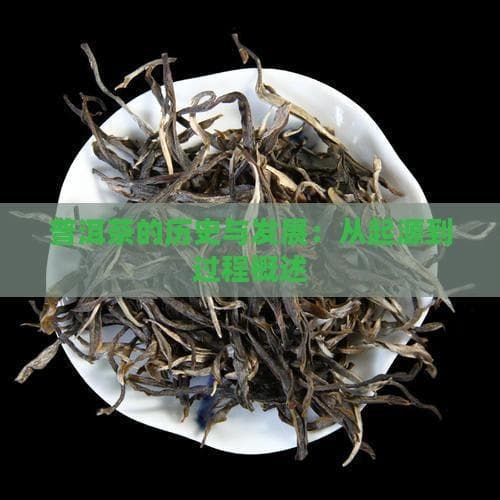 普洱茶的历史发展：从古代传承至今的文化瑰宝