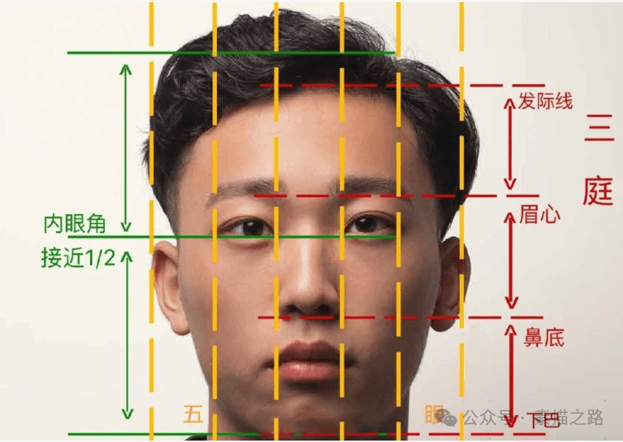 素描头像基础结构与画法详解