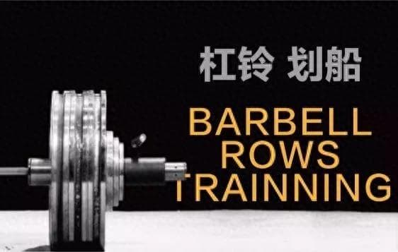 背部必练动作——杠铃划船，两种形式的划船要点与解析