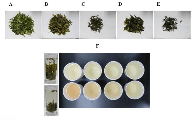 真空冷冻干燥技术在自然植物冻干中的应用
