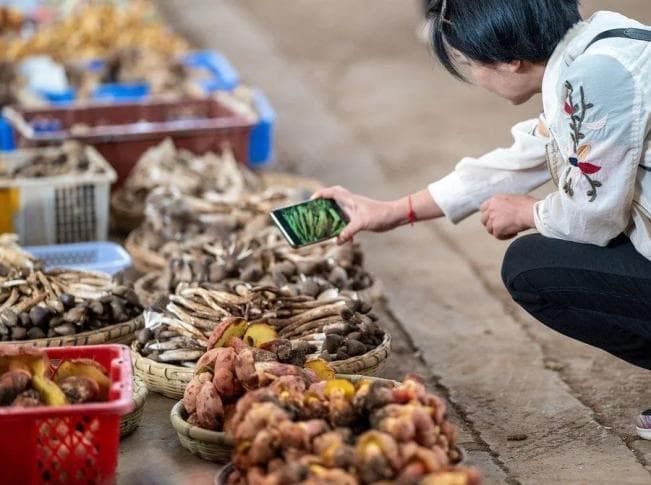 云南美食：鲜酸甜香辣五味调和的地域特色