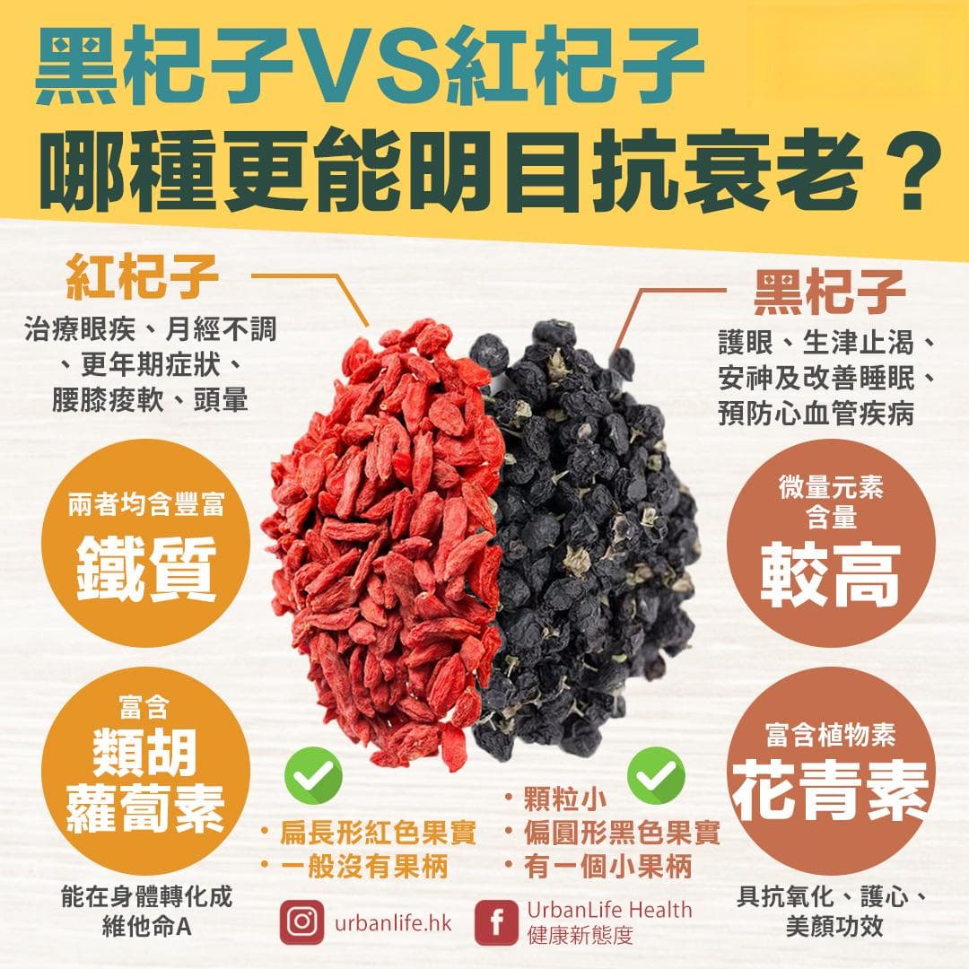 【枸杞功效】哪種更有效明目、抗衰老？黑枸杞VS紅枸杞營養價值大比拼！
