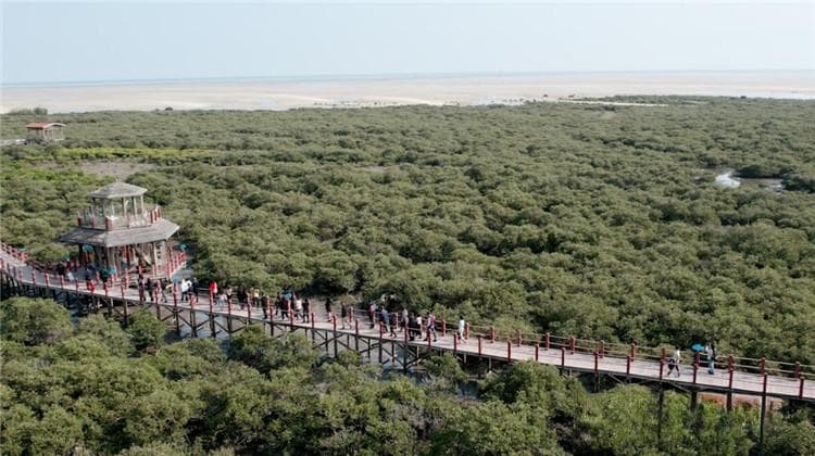 走进多彩广西 探寻魅力中国