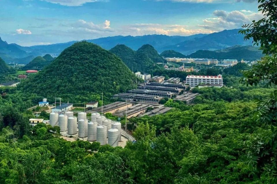 黔西南州：抢抓政策机遇助推白酒产业高质量发展