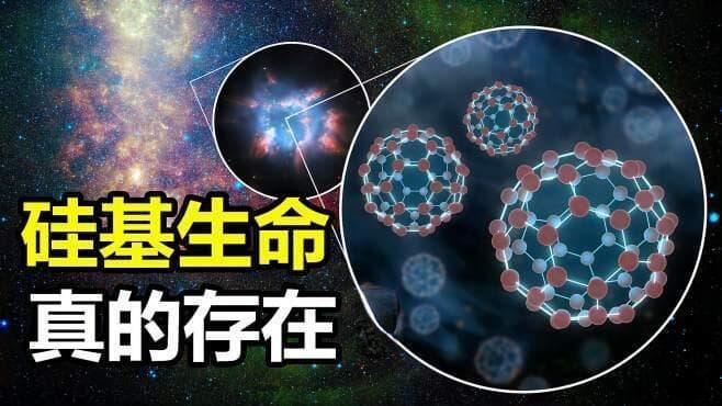 硅基生命：未来的霸主还是科幻的梦想？