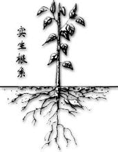 从植物根系出发，浅谈植物根系对植物养护的重要性
