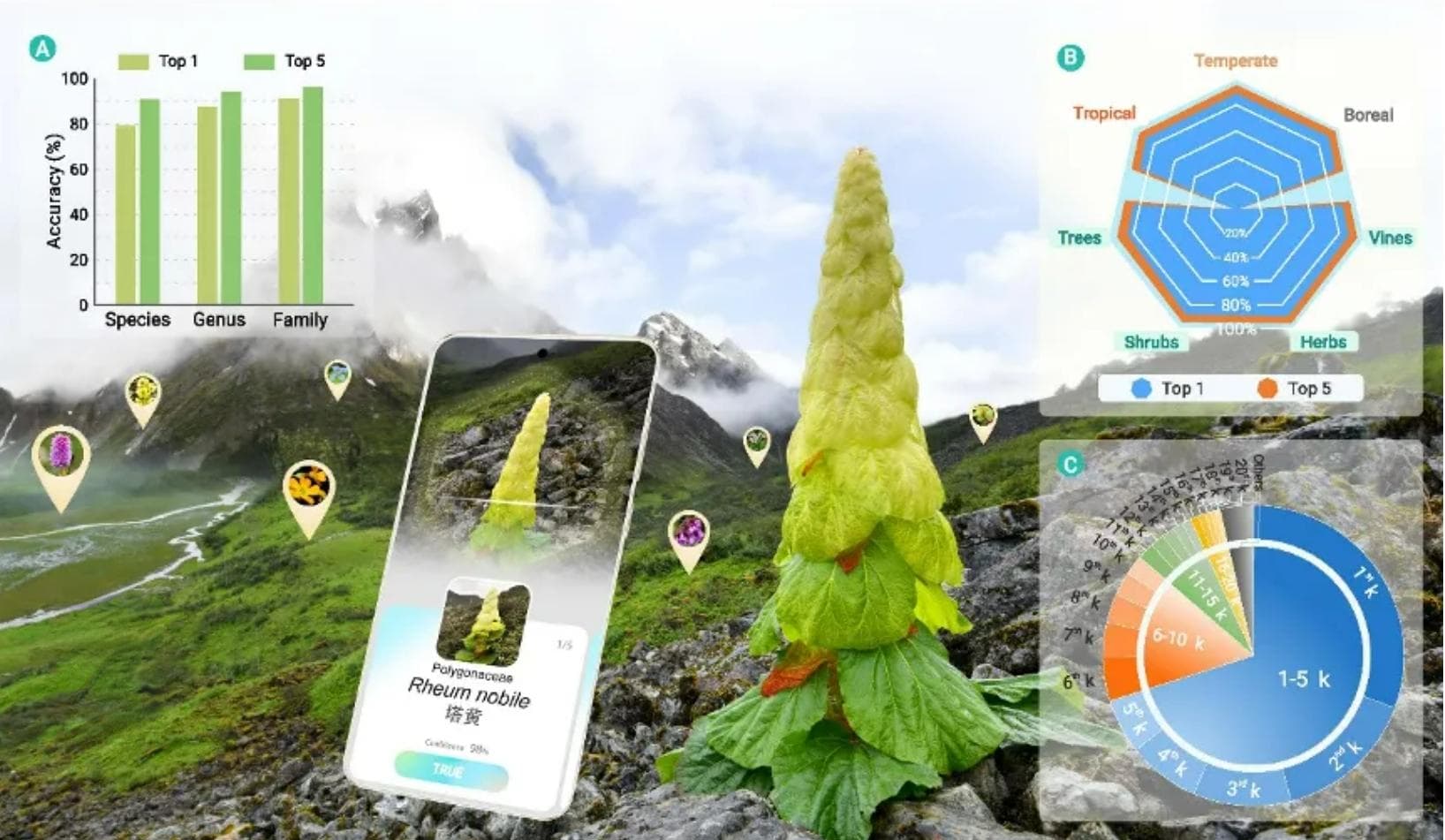 花伴侣专业版：人工智能助力中国植物智能识别
