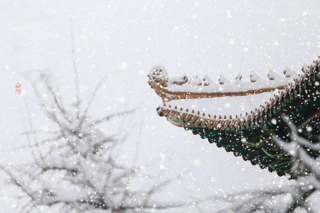 【飞花令】“大雪”满初晨，开门万象新