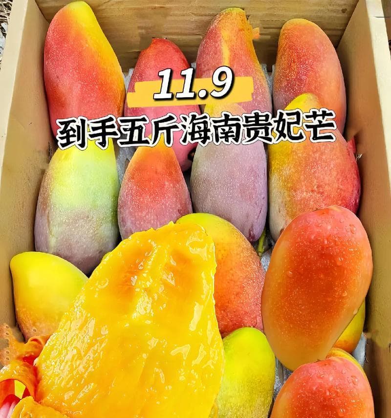 寻找海南芒果的故乡：探访中国最大芒果产区五指山市