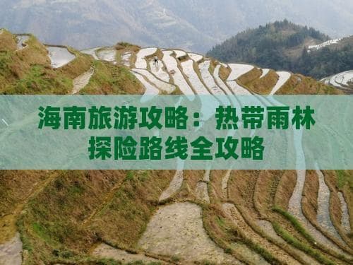 海南旅游攻略：热带雨林探险路线全攻略