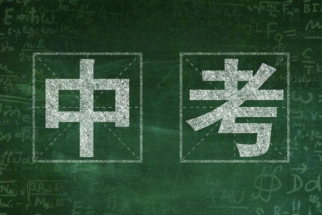 儒林外史：清代科举制度下的士人精神畸变史