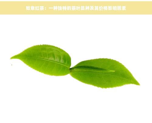 如意红茶：一种独特的茶叶品种及其价格影响因素