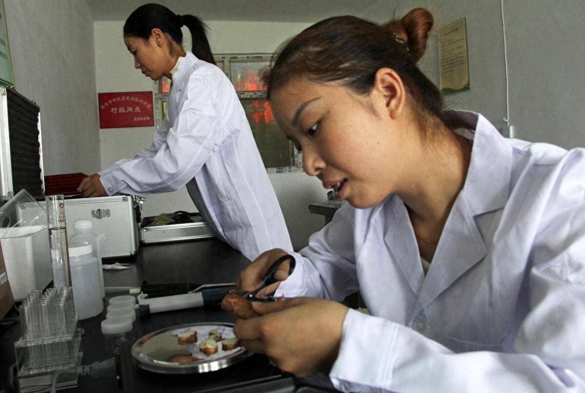 食品化验员证书报考流程，适考人群，就业前景