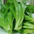 油麦菜：营养价值与烹饪技巧全解析