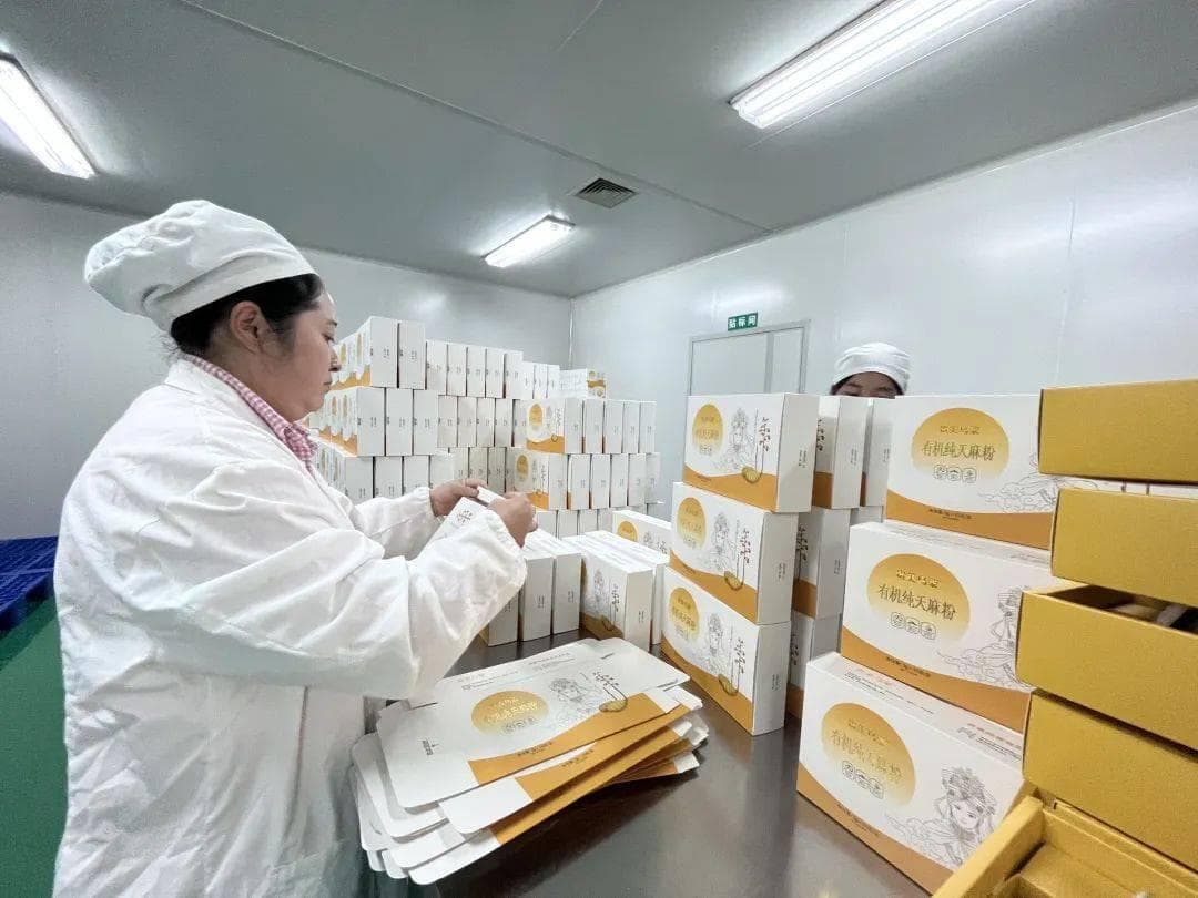 特色优质农产品走出产地迈向全国 ——毕节市壮大农业特色产业