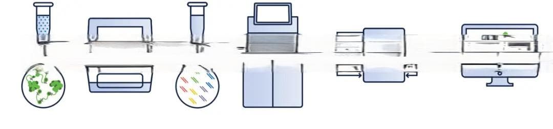 详解 ATAC-Seq：染色质可及性研究的革命性技术