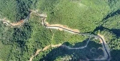 环热带雨林国家公园旅游公路通车：路遇宝藏雨林