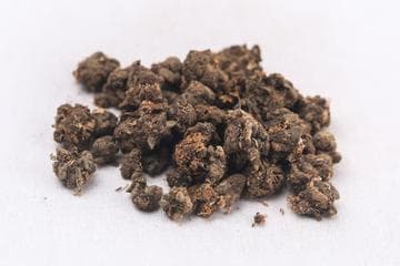 猫爪草的功效与作用