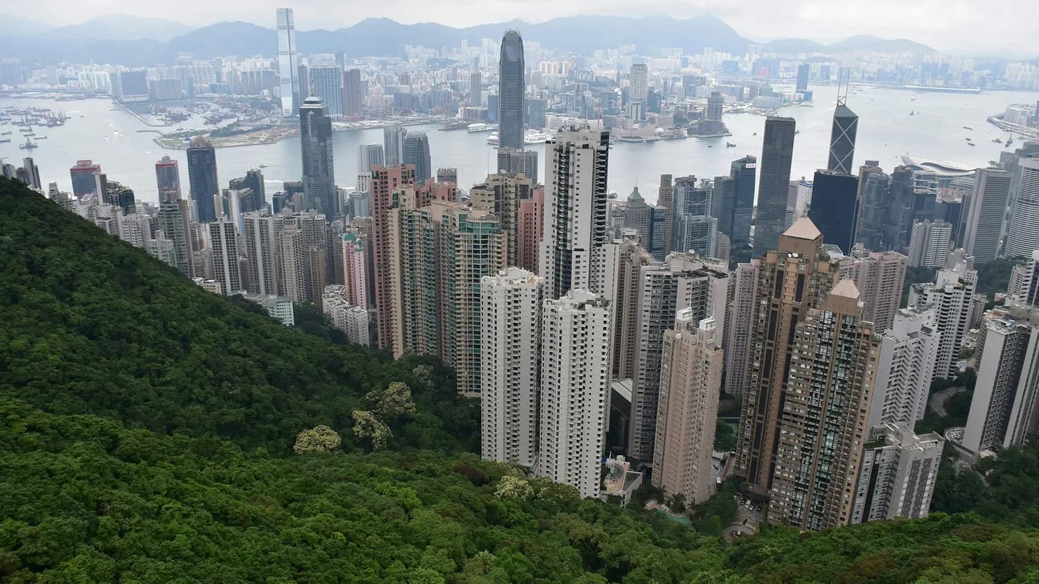 港币贬值遇上年底购物季，赴港消费迎来新机遇
